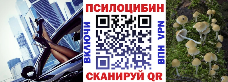 закладки Шилка Галлюциногенные грибы GOLDEN TEACHER